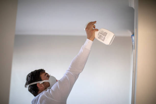 Best Mold Remediation  in Rehobeth, AL